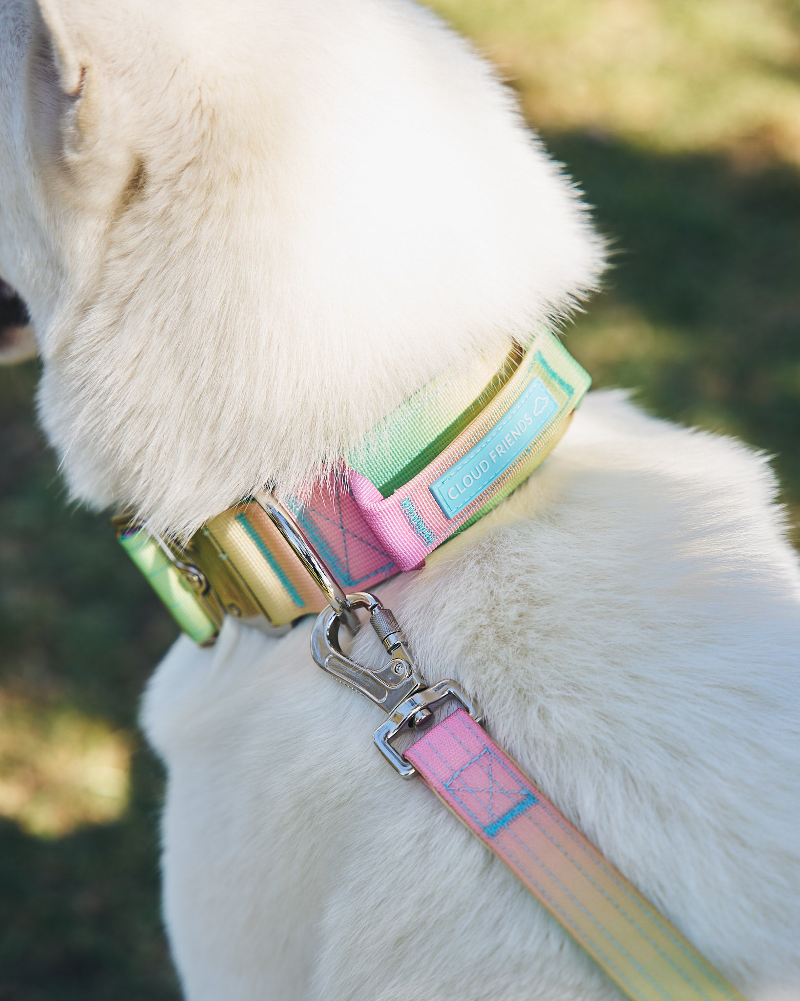 Tactical Collar & Leash Set ~ Collarful Combats