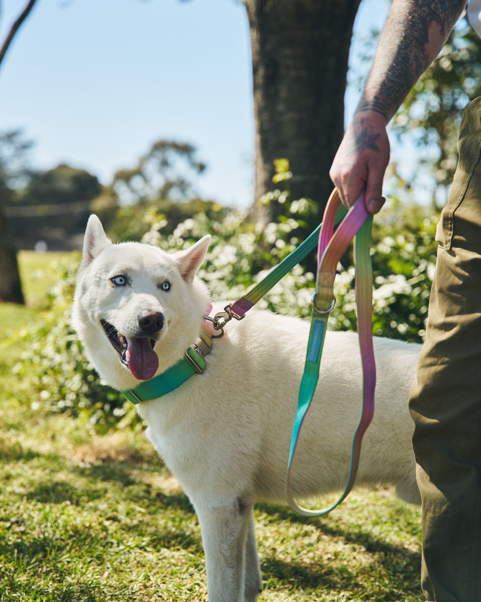 Tactical Collar & Leash Set ~ Collarful Combats