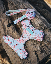 Harness & Leash Set ~ Cherry Me Away