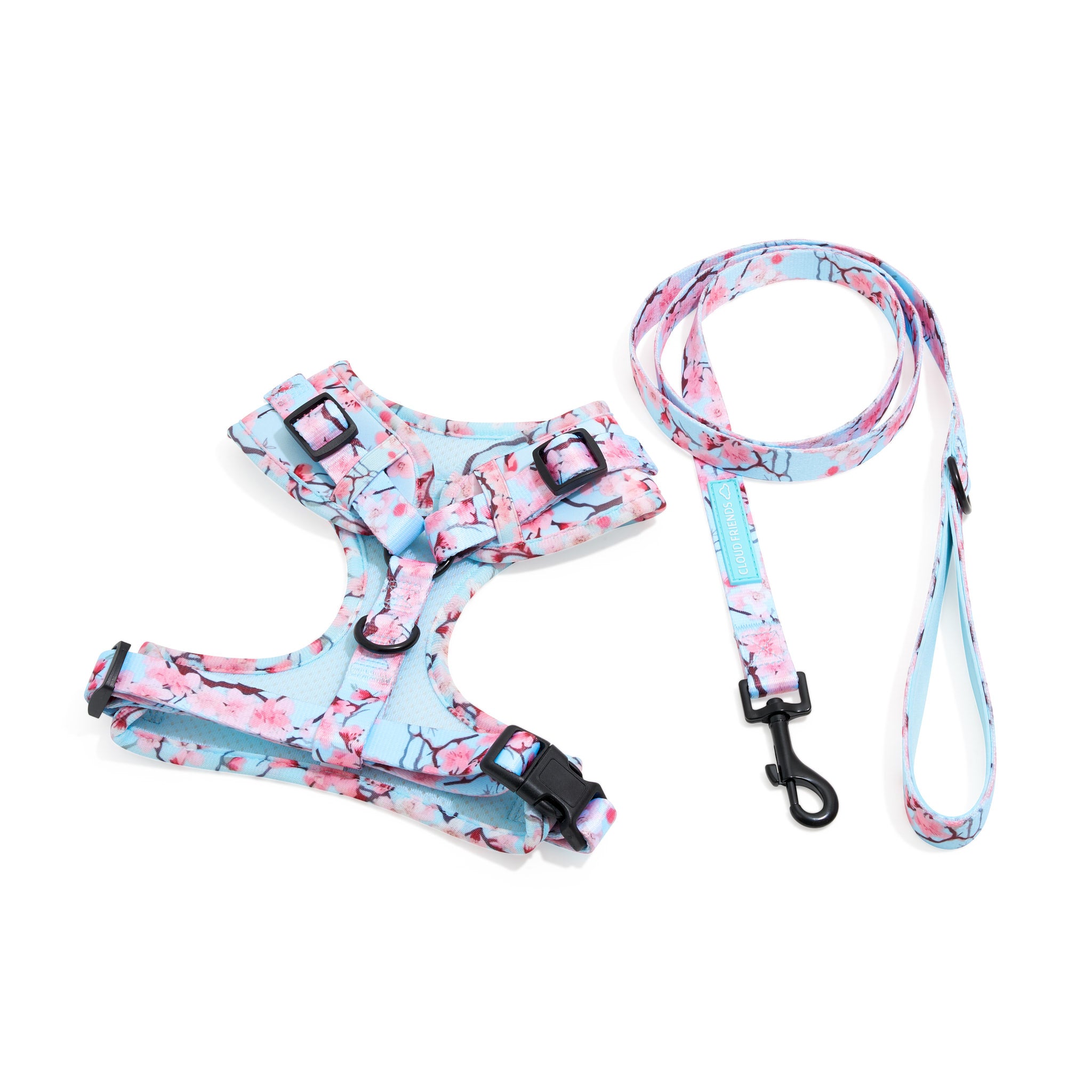 Harness & Leash Set ~ Cherry Me Away