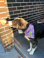 Mr Sparkles Scrunchie Bandana