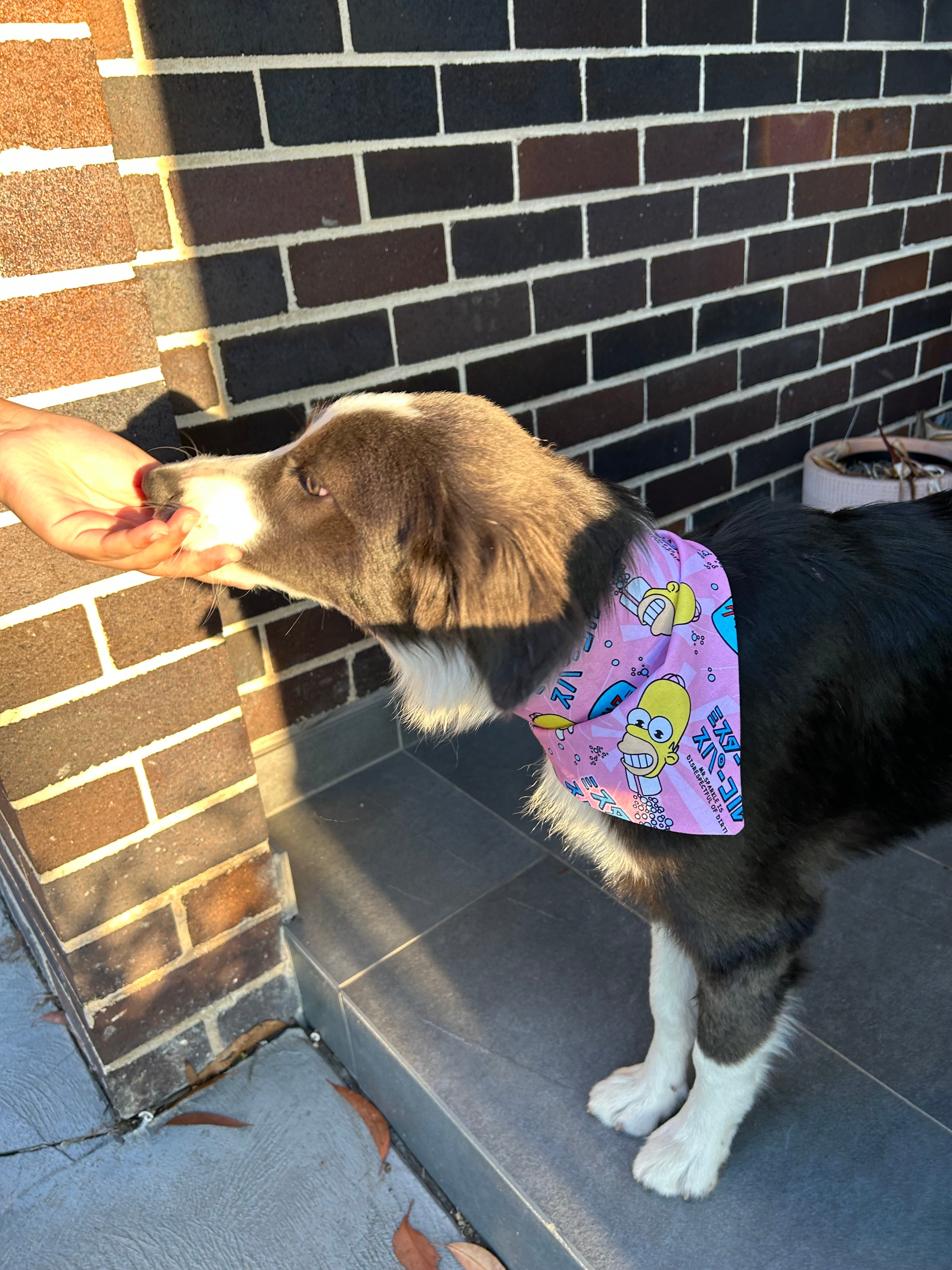 Mr Sparkles Scrunchie Bandana